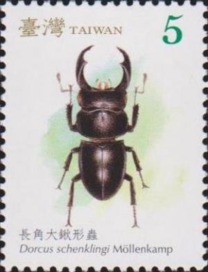 Colnect-3064-686-Long-fanged-Stag-Beetle-Dorcus-schenklingi.jpg