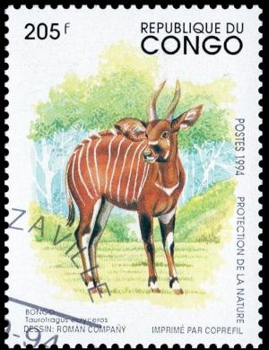 Colnect-3515-549-Bongo-Taurotragus-eurycerus.jpg