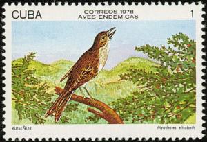 Colnect-3563-237-Cuban-Solitaire-Myadestes-elisabeth.jpg