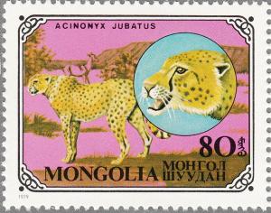 Colnect-3666-801-Cheetah-Acinonyx-jubatus.jpg