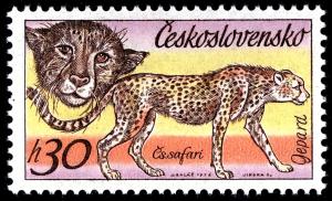 Colnect-4012-226-Cheetah-Acinonyx-jubatus.jpg