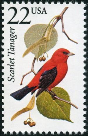 Colnect-4848-576-Scarlet-Tanager-Piranga-olivacea.jpg