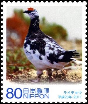 Colnect-5041-635-Rock-Ptarmigan-Lagopus-Mutus.jpg