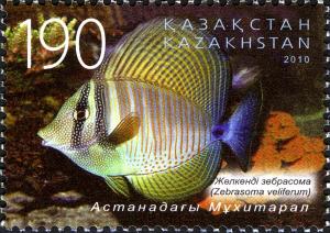 Colnect-5090-570-Sailfin-Tang-Zebrasoma-veliferum.jpg