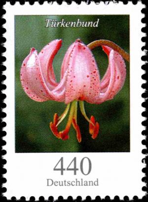 Colnect-5205-817-Lilium-martagon---Turk--s-cap-lily-.jpg