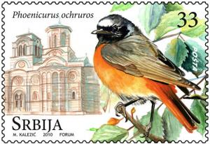 Colnect-865-881-Black-Redstart-Phoenicurus-ochruros.jpg