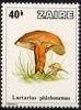 Colnect-1110-804-Lactarius-phlebonemus.jpg