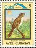 Colnect-3564-310-Cuban-Solitaire-Myadestes-elisabeth.jpg