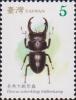 Colnect-3064-686-Long-fanged-Stag-Beetle-Dorcus-schenklingi.jpg