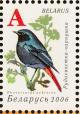 Colnect-1055-978-Black-Redstart-Phoenicurus-ochruros.jpg