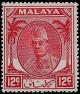 Colnect-4180-071-Sultan-Tengku-Ibrahim.jpg