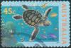 Colnect-1908-088-Australian-Flatback-Turtle-Chelonia-depressa.jpg