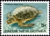 Colnect-3121-234-Australian-Flatback-Turtle-Chelonia-depressa.jpg