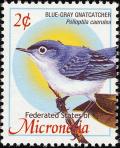 Colnect-1620-604-Blue-grey-Gnatcatcher-Polioptila-caerulea.jpg