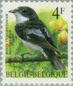 Colnect-179-819-Pied-Flycatcher-Ficedula-hypoleuca.jpg