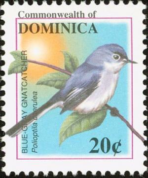 Colnect-1748-128-Blue-grey-Gnatcatcher-Polioptila-caerulea-.jpg