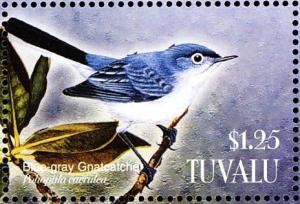 Colnect-4008-353-Blue-grey-Gnatcatcher%C2%A0%C2%A0%C2%A0%C2%A0Polioptila-caerulea.jpg