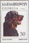 Colnect-1104-822-Gordon-Setter-Canis-lupus-familiaris.jpg