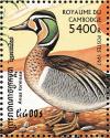 Colnect-1527-008-Baikal-Teal-nbsp-Anas-formosa.jpg