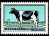 Colnect-1529-726-Frisian-Dutch-Holstein-Black-Bos-primigenius-taurus.jpg