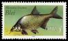 Colnect-1982-836-Freshwater-Bream-Abramis-brama.jpg