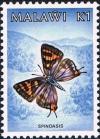 Colnect-2233-289-Butterfly-Spindasis-sp.jpg