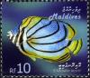 Colnect-2362-901-Scrawled-Butterflyfish-Chaetodon-meyeri.jpg