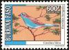 Colnect-2631-941-Orange-breasted-Waxbill-Estrilda-bengala.jpg