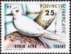 Colnect-3221-706-White-Tern-Gygis-alba.jpg