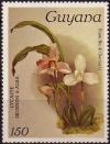 Colnect-3977-192-Lycaste-skinneri-and-alba.jpg