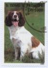 Colnect-938-295-Breton-Pointer-Canis-lupus-familiaris.jpg