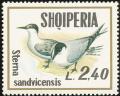 Colnect-1237-737-Sandwich-Tern-Sterna-sandvicensis.jpg