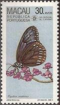 Colnect-1456-110-Blue-Spotted-Crow-Euploea-midamus.jpg