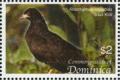 Colnect-3202-260-Snail-Kite-Rostrhamus-sociabilis.jpg