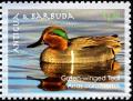 Colnect-4124-590-Green-winged-Teal%C2%A0%C2%A0%C2%A0%C2%A0Anas-carolinensis.jpg