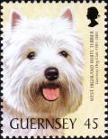 Colnect-5506-913-West-Highland-White-Terrier-Canis-lupus-familiaris.jpg