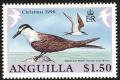 Colnect-579-808-Bridled-Tern-Sterna-anaethetus.jpg