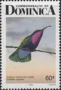 Colnect-2268-637-Purple-throated-Carib-Eulampis-jugularis.jpg