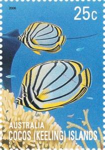 Colnect-2734-817-Scrawled-Butterflyfish-Chaetodon-meyeri.jpg