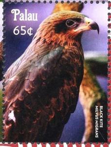 Colnect-3669-278-Black-Kite%C2%A0%C2%A0%C2%A0%C2%A0Milvus-migrans.jpg