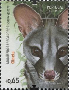 Colnect-3487-166-Small-spotted-genet-Genetta-genetta.jpg