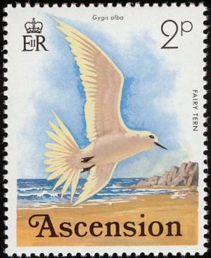 Colnect-1405-603-White-Tern-Gygis-alba.jpg