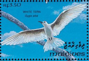 Colnect-1428-101-White-Tern-Gygis-alba.jpg