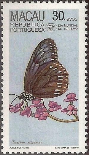 Colnect-1456-110-Blue-Spotted-Crow-Euploea-midamus.jpg