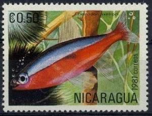 Colnect-1497-052-Cardinal-Tetra-Cheirodon-axelrodi.jpg