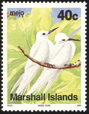 Colnect-1599-517-White-Tern-Gygis-alba.jpg