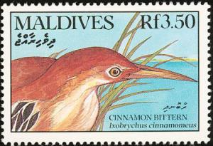 Colnect-1631-855-Cinnamon-Bittern-Ixobrychus-cinnamomeus.jpg