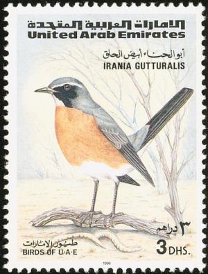 Colnect-1646-521-White-throated-Robin-Irania-gutturalis.jpg