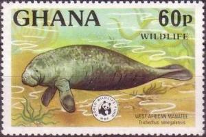 Colnect-1718-810-African-Manatee-Trichechus-senegalensis.jpg