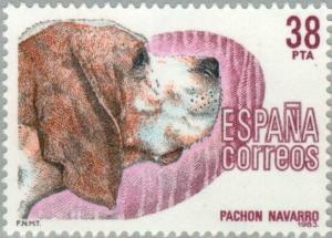 Colnect-175-789-Navarro-Pointer-Canis-lupus-familiaris.jpg